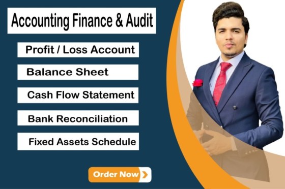 I will provide excellent services in accounting, finance, and audit