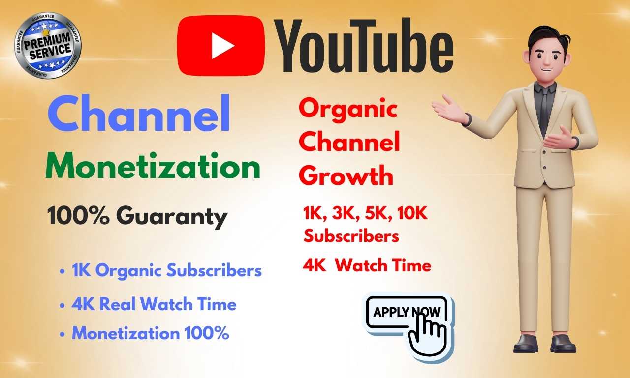 I will promote and monetize 100% of your youtube channel organically