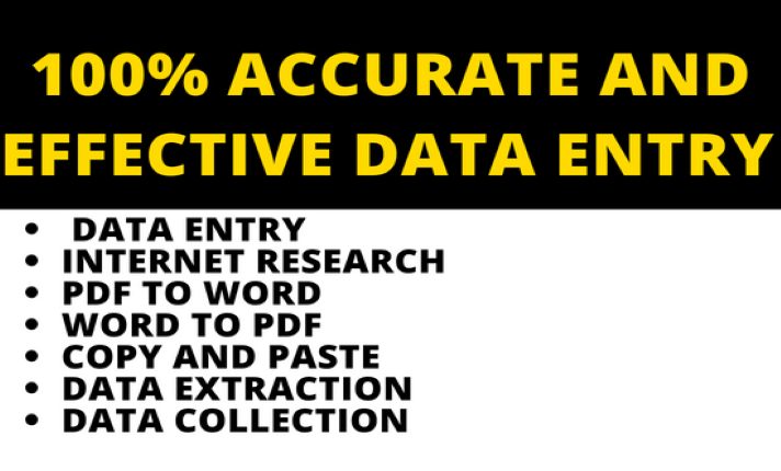 I will do professional and fastest data entry with 100% accuracy