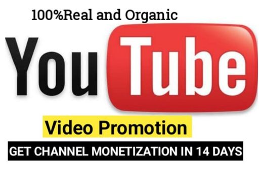 I will organic youtube promotion for channel monetization