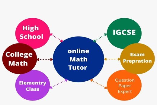 I will  be your maths online tutor for all grades .