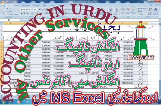 I will Type your Urdu Accounts, Work in MS Excel, Fast Typist.