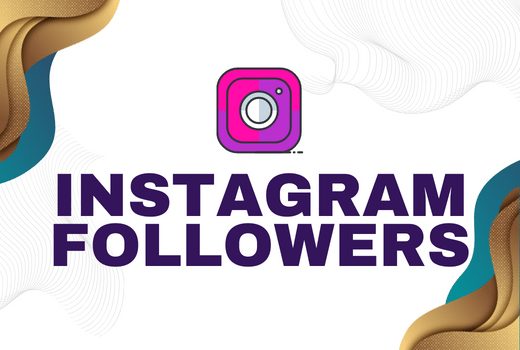 500 Instagram followers 100% Non Drop Instant Start