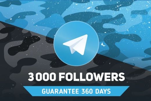 3,000 subscribers in Telegram. Guarantee 360 days