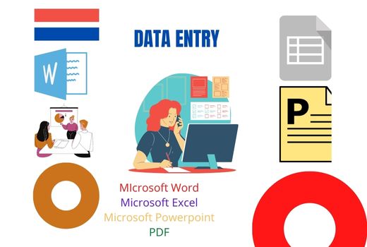 I will do data entry in word, excel, power point, PDF