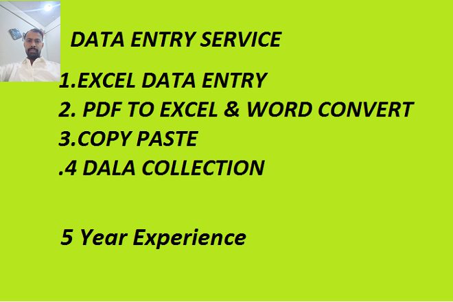 I Will be virtual Assistant For Data Entry & Copy Paste Ms Excel,