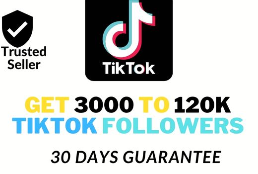 Get 3000 instant Tiktok Followers with 30 days guarantee