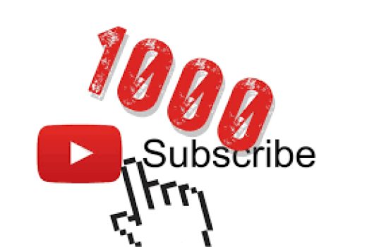 i will provide you 1000 youtube subscribers