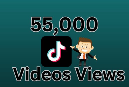 Provide FAST 55,000 TikTok Videos Views