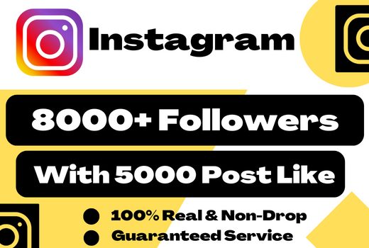 8000+ Instagram followers + 5000 post likes lifetime guarantee