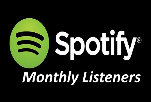 I will add you 2500+ Spotify Monthly Listeners