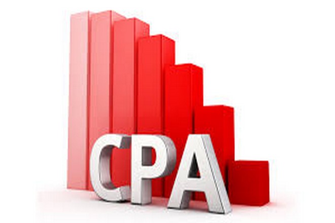 show you traffic source that generate 305 usd a day with CPA