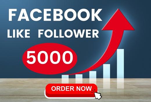 5000 Facebook Page Likes-Followers nondrop