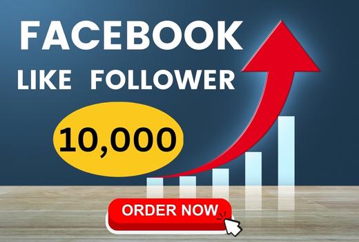 10,000 Facebook Page Likes-Followers non drop