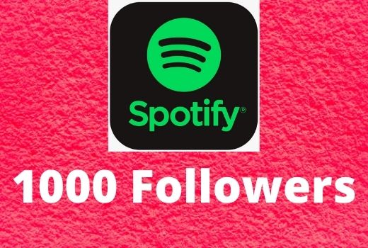 Super Instant 1000+ Spotify followers high-quality
