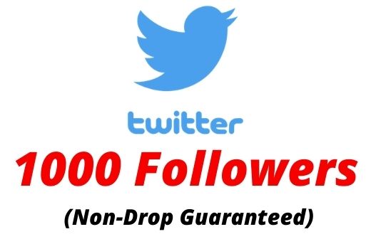 1000+ Real Twitter Followers Non-drop Lifetime