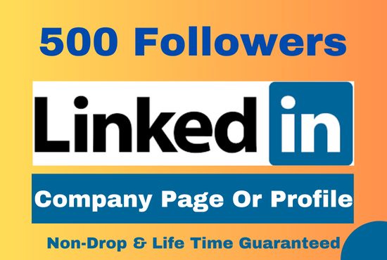 500 Linkedin follower Company page or Profile Permanent
