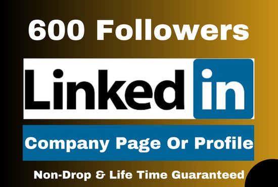 600 Linkedin follower Company page or Profile Permanent