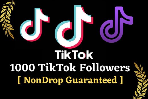 I will Add 1000 TikTok Followers Lifetime Guaranteed