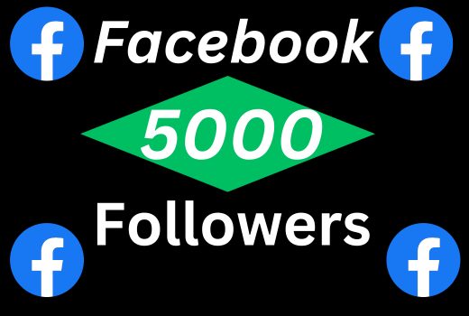 5000 Facebook page/profile follower permanent best service