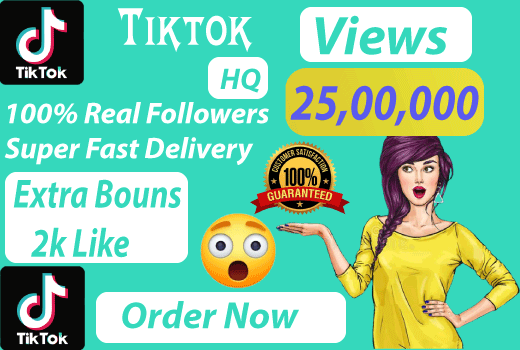 Get 2500000 organic TikTok View high quality fast delivery