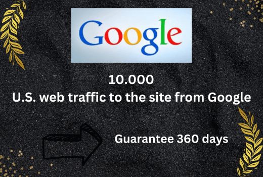10.000 visits U.S. web traffic to the site from Google