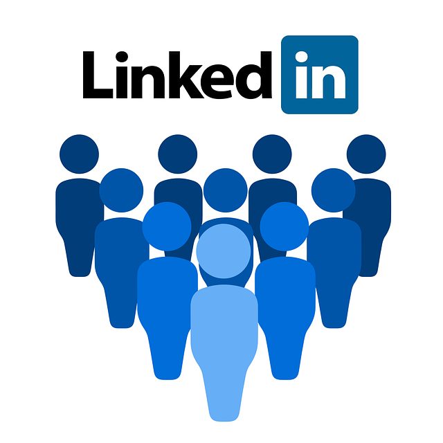 1000 Linkedin Profile Follower USA Audience Lifetime