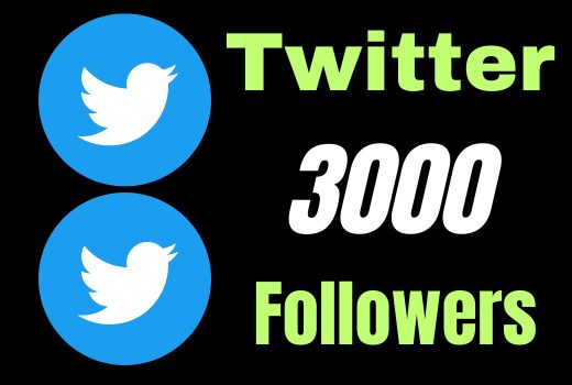 provide 3000 Twitter followers Real active user, permanent, nondrop guaranteed