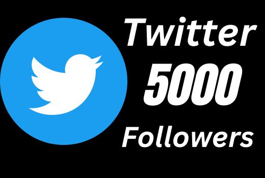 provide 5000 Twitter followers Real permanent nondrop guaranteed