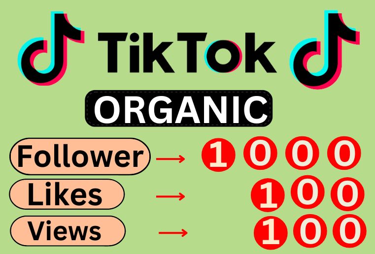 I will Get super fast organic 1000 TikTok Real followers, 100 likes, 100 Views, Non Drop and Lifetime Permanent.