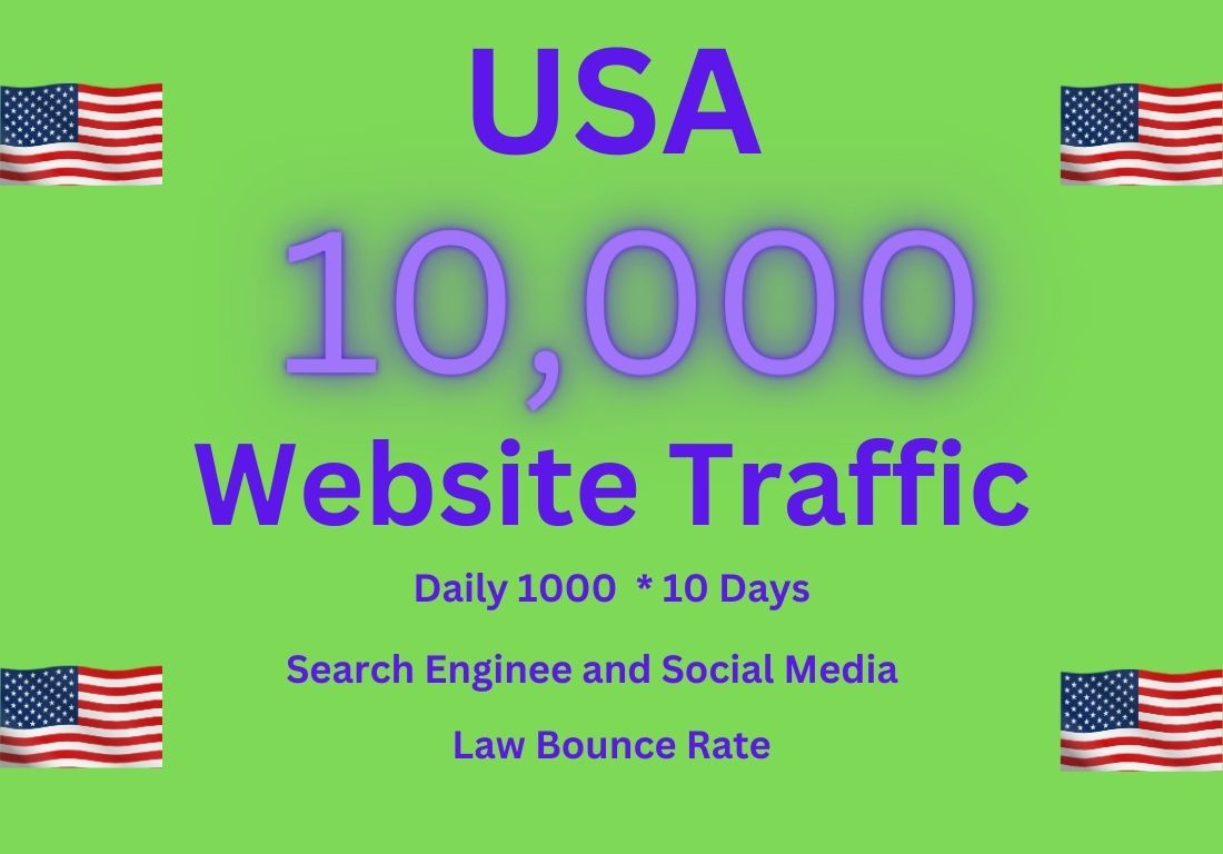 10000 USA Website Traffic  Daily 1000 for 10 Days