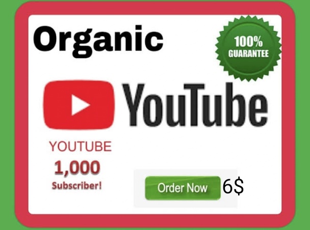 YouTube Organic Non drop followers|Cheap price