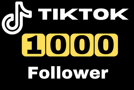 Provide 1000 tiktok followers real, active user, high quality ,nondrop, lifetime guaranteed