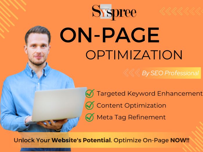 We provide Industry standards On-Page SEO service