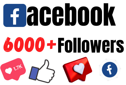will Get 6000+ Facebook page followers, 100% real and organic