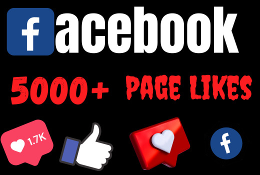 will Get 5000+ Facebook page Likes+ Followers, 100% real and organic