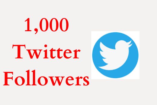 Get 1000+ Twitter High-quality Followers, Non-drop, and Lifetime Permanent