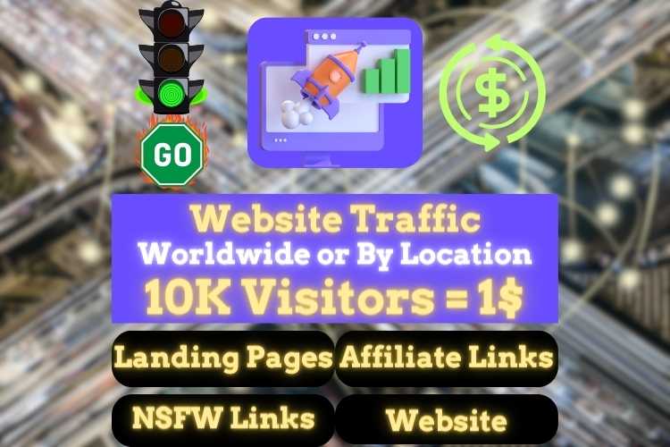Bulk Website Traffic (100K Visitors)