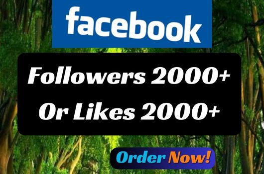 Facebook Page or Profile Followers 2000+ likes 2000+ Lifetime Guaranted service.