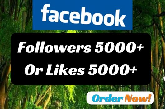 Facebook Page or Profile Followers 5000+ likes 5000+ Lifetime Guaranted service.