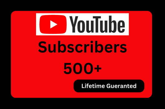 Send you 500+ Organic Subscribers, Nonedrop & lifetime guaranteed service.