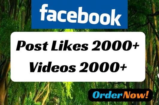 Facebook post 2000 likes 2000 views Lifetime guaranteed Service