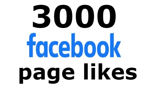 FAST 3000+ FACEBOOK PAGE LIKES, HIGH QUALITY PROMOTION WITH NON DROP GUARANTEED