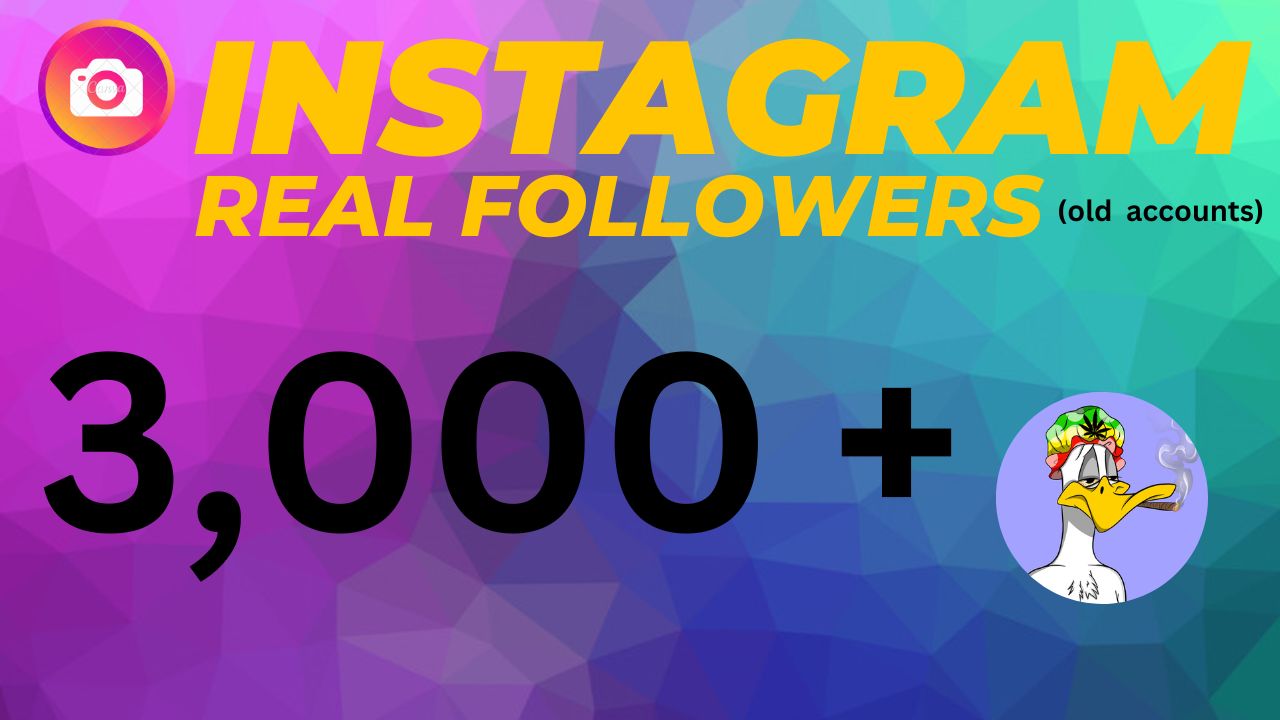 3,000+ Instagram Real Followers (Old Accounts). 100% Guaranteed Non-Drop