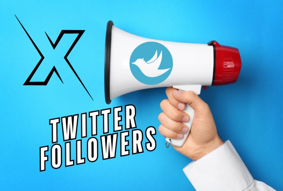 Grow real 200 followers | Do super-fast organic Twitter promotion growth and marketing