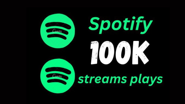 7197Provide 20,000 Spotify Plays USA, high quality, royalties eligible, TIER 1 countries, active user, non-drop, and lifetime guaranteed