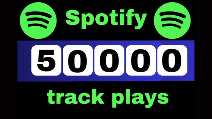 7181provide 5000 Spotify Premium Plays Royalties Eligible