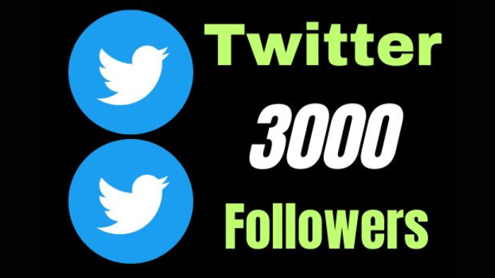 7236Provide 1000 (X) Twitter followers Real active user, permanent, non-drop guaranteed