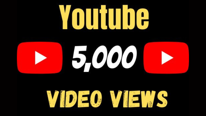 7208provide 700 YouTube Subscribers active user lifetime guarantee