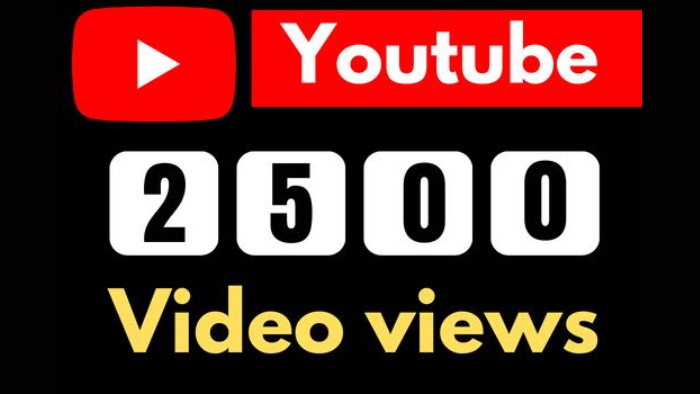 7246provide 1000 YouTube subscribers real, active user, non-drop, lifetime guaranteed